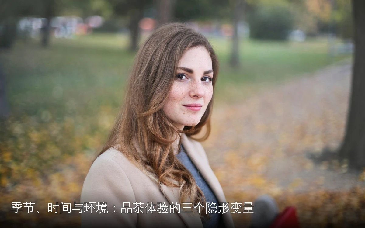 季节、时间与环境：品茶体验的三个隐形变量